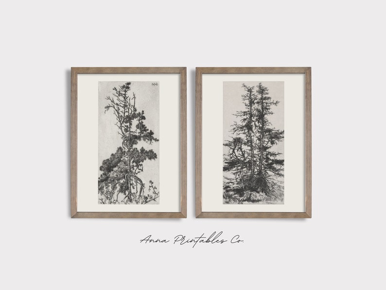 Peut inclure: Deux illustrations en noir et blanc d'arbres encadr&eacute;es. Les illustrations sont de style minimaliste et pr&eacute;sentent des arbres hauts et fins avec des branches qui s'&eacute;tendent vers le ciel. Les cadres sont en bois brun clair.