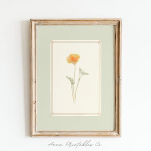 K&ouml;nnte beinhalten: Ein Aquarellbild einer einzelnen orangefarbenen Kalifornischen Mohnblume mit gr&uuml;nen Stielen und Bl&auml;ttern. Das Bild ist in einem hellen Holzrahmen mit einer hellgr&uuml;nen Passepartout gerahmt.