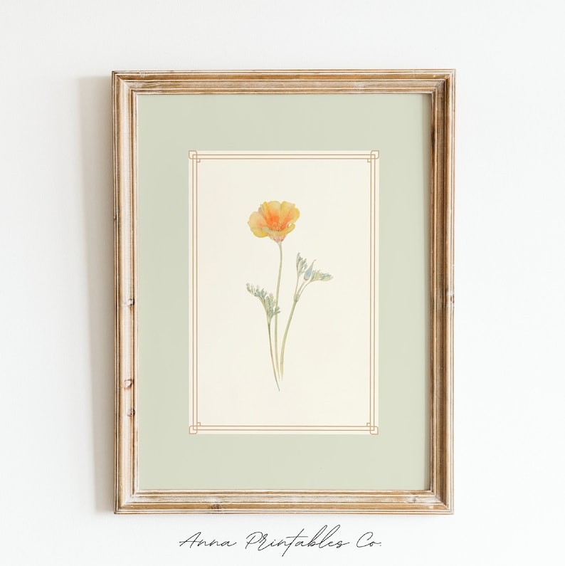 K&ouml;nnte beinhalten: Ein Aquarellbild einer einzelnen orangefarbenen Kalifornischen Mohnblume mit gr&uuml;nen Stielen und Bl&auml;ttern. Das Bild ist in einem hellen Holzrahmen mit einer hellgr&uuml;nen Passepartout gerahmt.