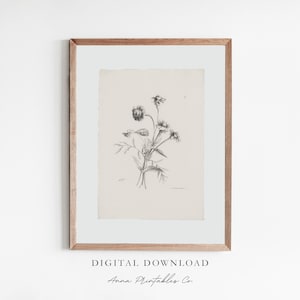 May include: A black and white botanical illustration of a flower with five petals. The illustration is framed in a light wood frame and has a white mount.