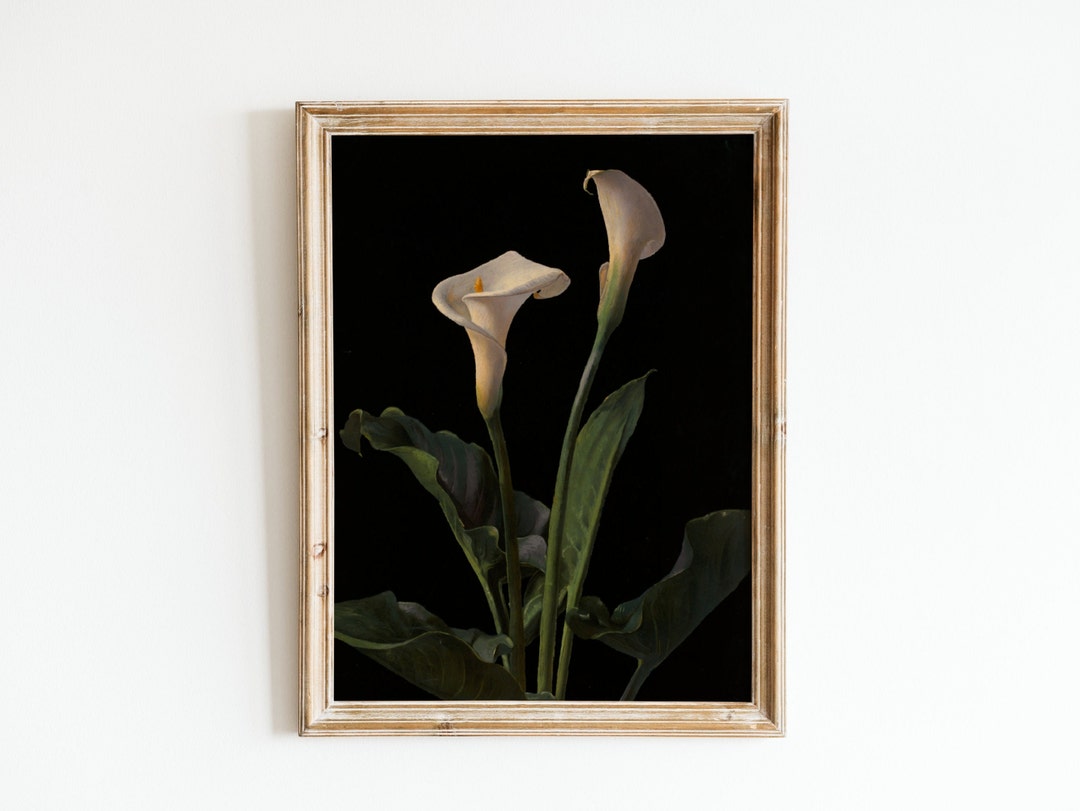 Calla Lily Wall Art Print Dark Botanical Vintage Oil Etsy