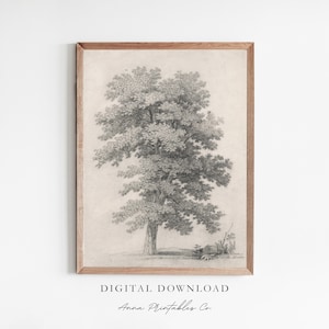 Grabado de árboles antiguos para descarga digital, arte de pared imprimible con bocetos de árboles, impresiones de arte de decoración neutra, descarga de impresión de arte de granja