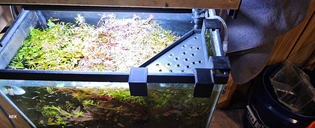 Aquatic Oasis Water Diffuser - Etsy
