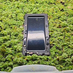 May include: A clear plastic container filled with green aquatic plants. A black rectangular object is placed on top of the plants.
