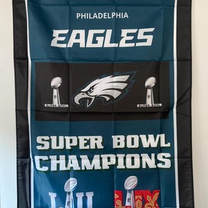 Philadelphia Eagles Super Bowl Championship Banner Flag Wall Art