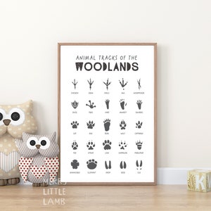 Animal Tracks 1 Print, Woodland Nursery Decor, Printable Wall Art, Boys Room Decor, Kids Room Poster, Educational Poster, Digital Download