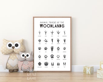 Animal Tracks 1 Print, Woodland Nursery Decor, Printable Wall Art, Boys Room Decor, Kids Room Poster, Educational Poster, Digital Download