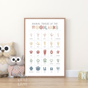 Tierspuren 3 Print, Wald Kinderzimmer Dekor, druckbare Wandkunst, Jungen Zimmer Dekor, Kinderzimmer Poster, pädagogisches Poster, digitaler Download