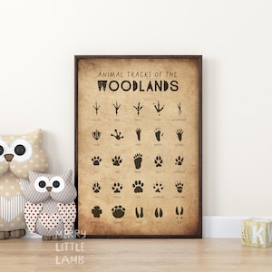 Animal Tracks 2 Print, Woodland Nursery Decor, Printable Wall Art, Boys Room Decor, Kids Room Poster, Educational Poster, Digital Download