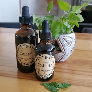 Kattenkruid Tinctuur ~ Biologisch *Graanvrije alcohol*