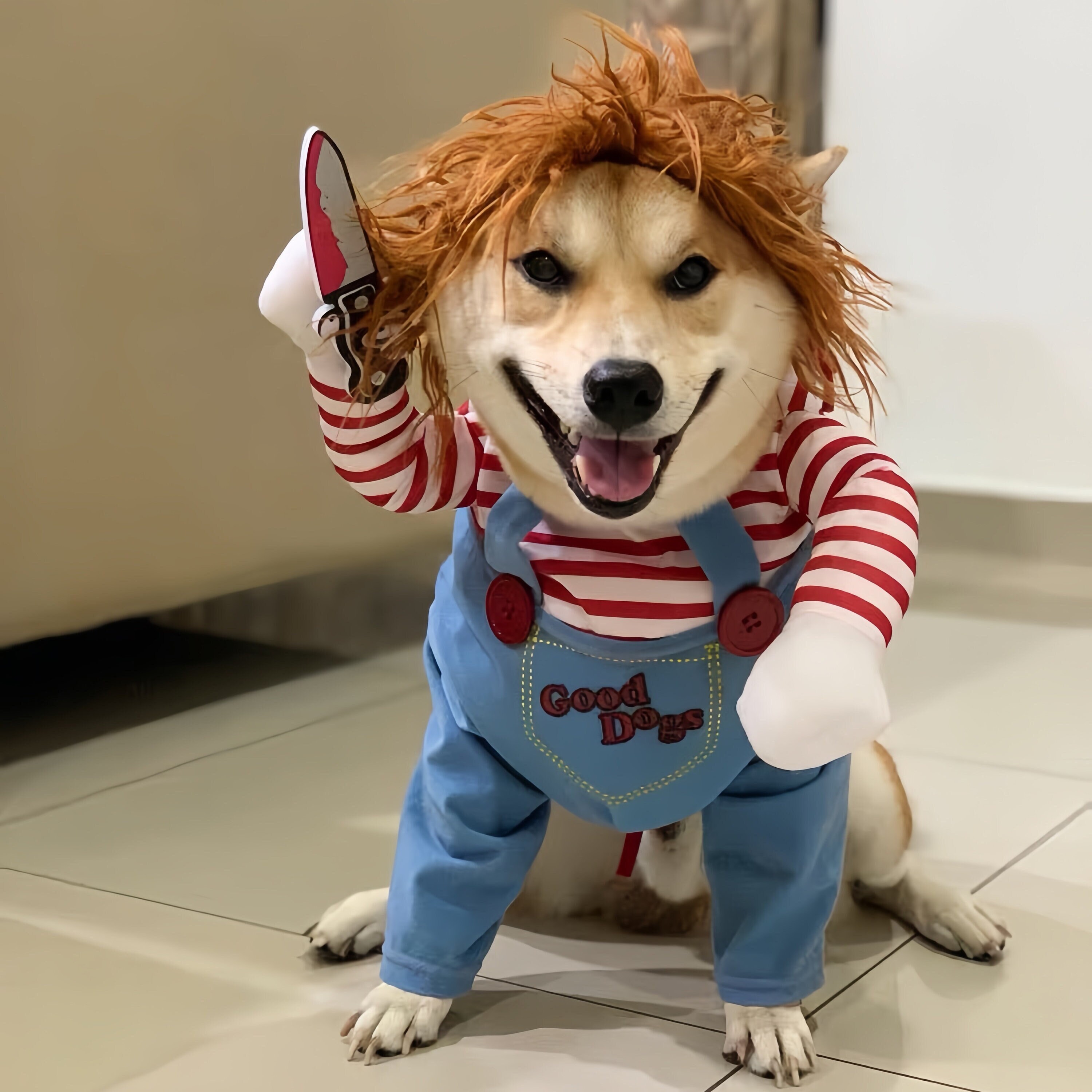 Pitbull costumes cheap