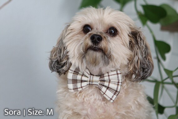 Holiday bow top ties for dogs