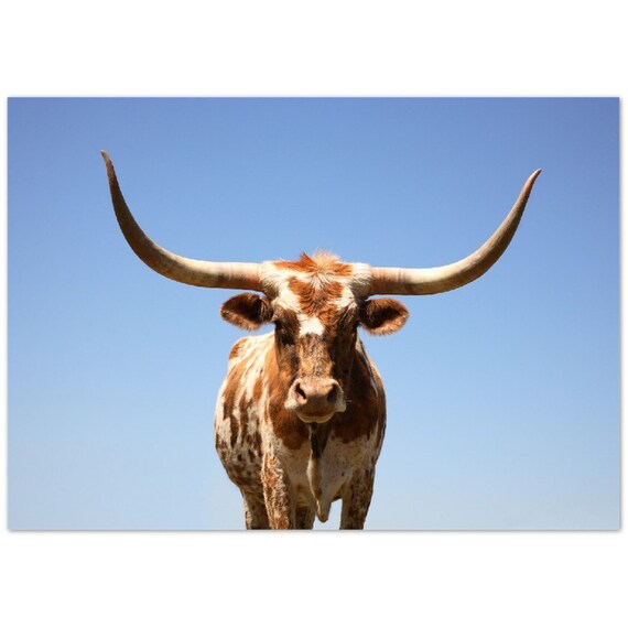 Texas Longhorn Poster Etsy Texas Longhorn Poster Etsy