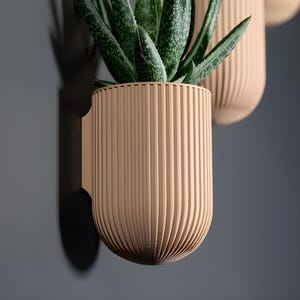 May include: A light brown, ribbed, wall-mounted planter with a succulent plant inside. The planter has a rounded shape and a smooth, matte finish.