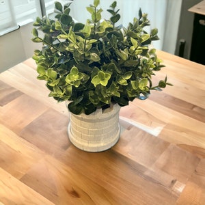 May include: A small green plant in a white ceramic castle-shaped planter. The planter is sitting on a light brown wooden surface.