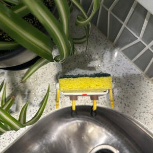 Bob The Sponge Holder | Decorative Sponge Holder | Self Draining Sponge Holder | Made in USA | Father & Son Company | 3d Printed