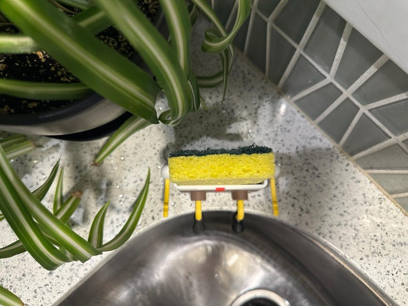 Bob The Sponge Holder | Decorative Sponge Holder | Self Draining Sponge Holder | Made in USA | Father & Son Company | 3d Printed