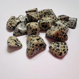 Dalmatian Jasper Tumbled Stone | Small Tumbled Dalmatian Jasper | Natural Crystal | Gemstone | Metaphysical | Healing Crystal | Spiritual