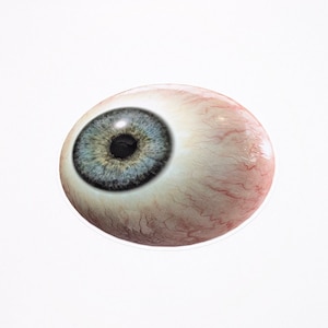 Eye Decal Sticker