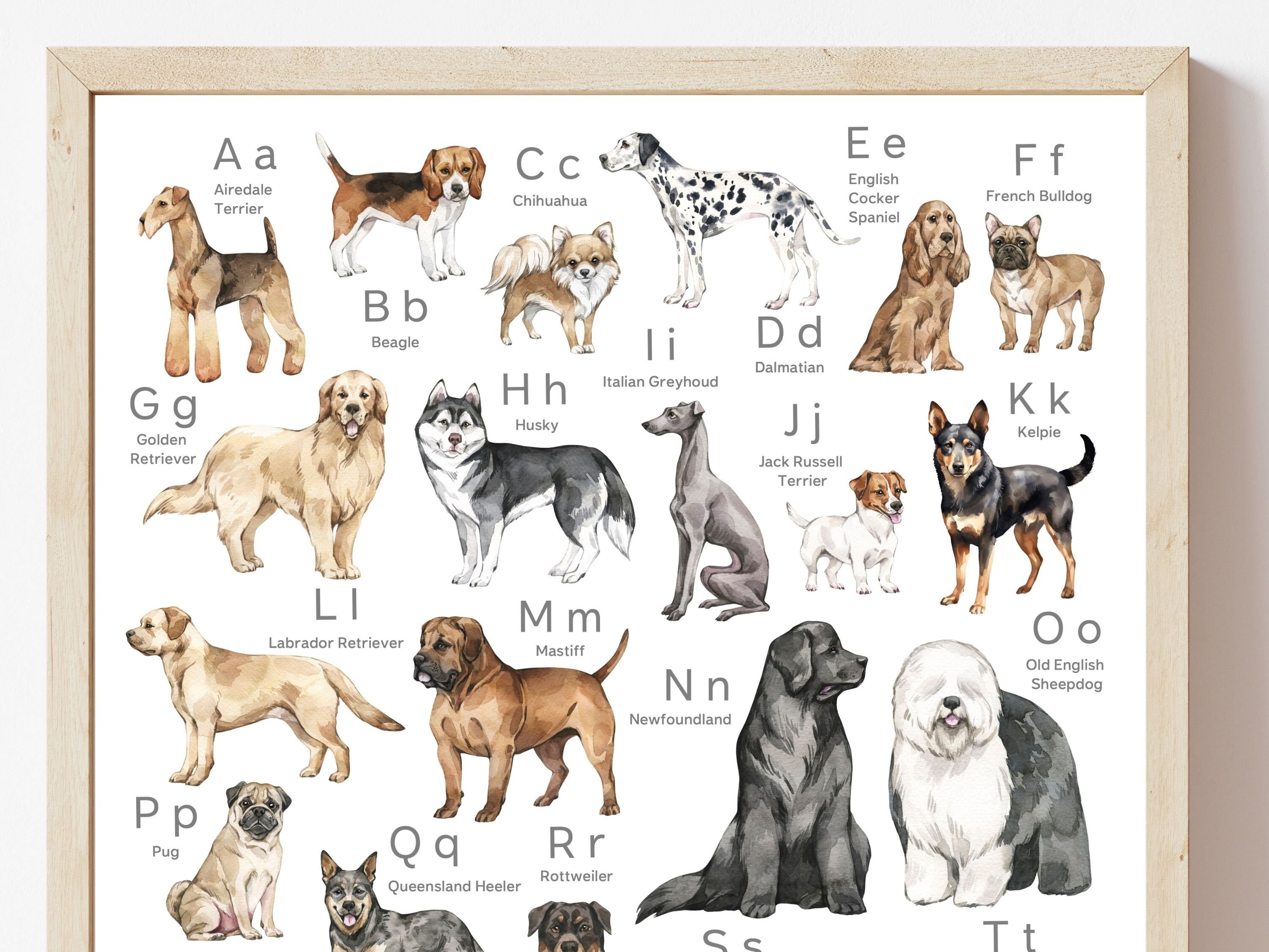 Dog Alphabet Poster Print, Dog Breed Nursery Poster, Abc of Dogs ...