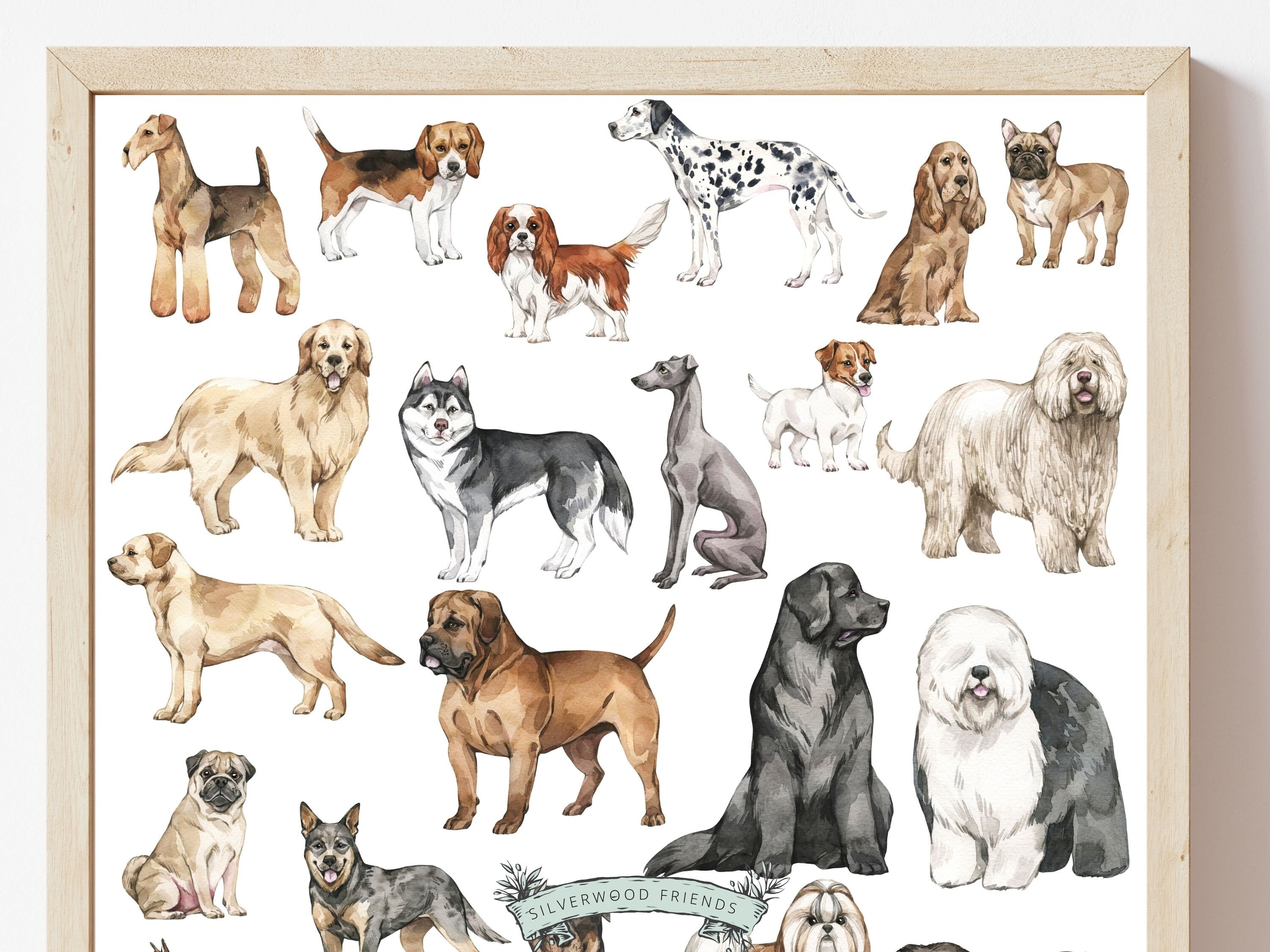 indian-dog-breeds-price-list-tunersread