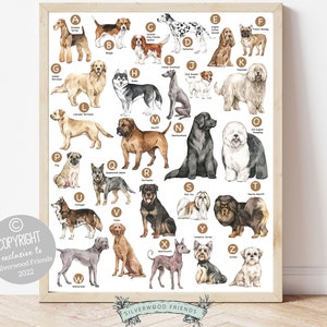 Dog Alphabet Poster Print, Dog Breed Nursery Poster, abc of Dogs, Animal Alphabet Art, A-Z of Dogs, Dog Nursery Wall Art, Dog Nursery Decor