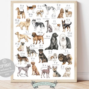 Dog Alphabet Poster Print, Dog Breed Nursery Poster, abc of Dogs, Animal Alphabet Art, A-Z of Dogs, Dog Nursery Wall Art, Dog Nursery Decor