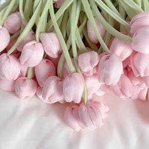 May include: A close-up of a bundle of pink tulip-shaped flowers with green stems. The flowers are a soft, pastel pink, and the stems are a light green. The flowers are arranged in a loose, natural way, creating a delicate and feminine aesthetic.