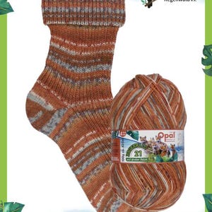 Könnte beinhalten: Eine gestrickte Socke und ein Knäuel Garn in Orange-, Braun- und Grautönen. Die Socke hat einen gerippten Bund und ein gemustertes Design. Das Garnknäuel hat ein Etikett mit dem Text "Opal" und "21". Das Bild enthält auch den Text "Rettet den Regenwald e.v."
