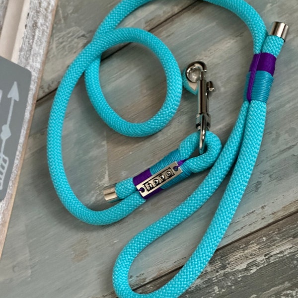 Tauleine training leash with hand strap