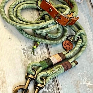 Adjustable leash and collar for large dogs