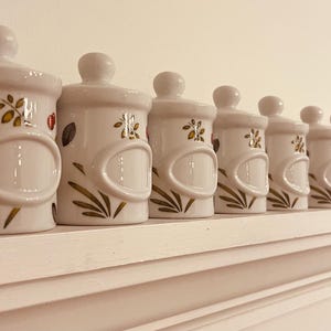 Vintage Ceramic Spice Jar Set of 9 with Lids – Hand-Painted Floral Kitchen Canisters