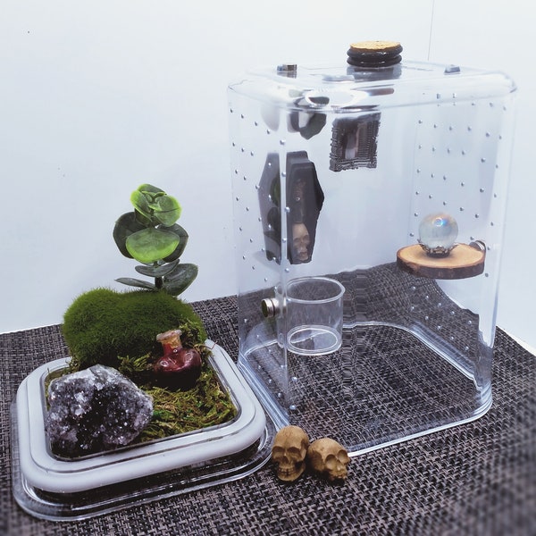 Jumping Spider Enclosures | Stackable Enclosures | Custom made upon request | Crystals & moss