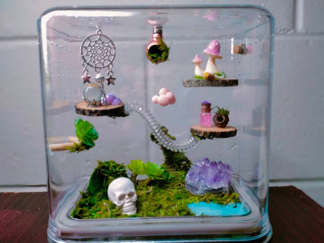 Jumping Spider Enclosures Stackable Enclosures Custom Made Etsy