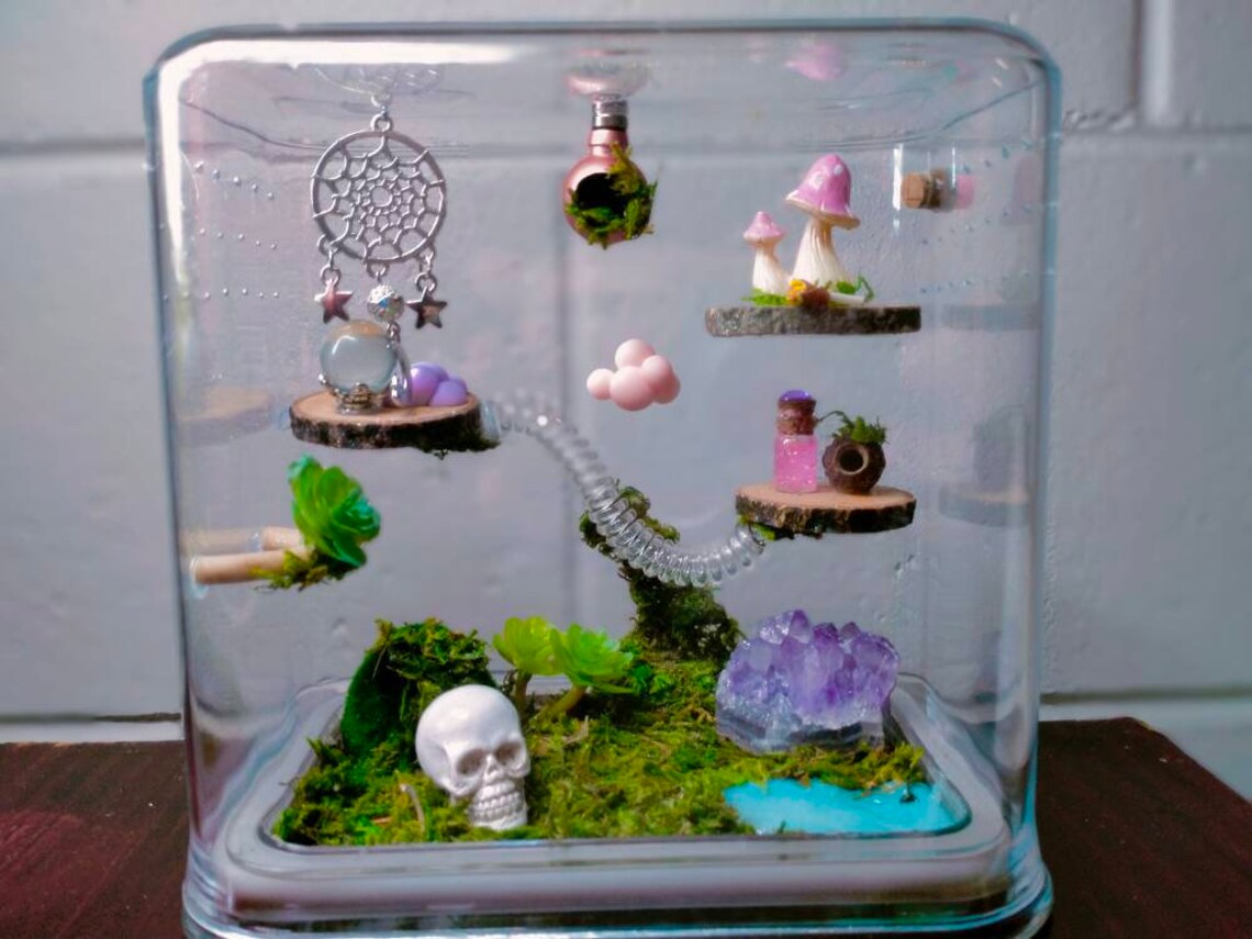 Jumping Spider Enclosures Stackable Enclosures Custom Made Etsy