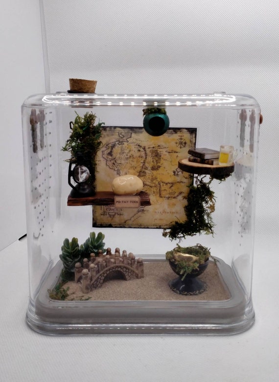 Jumping Spider Enclosures Stackable Enclosures Custom Made Upon Request  Crystals & Moss 