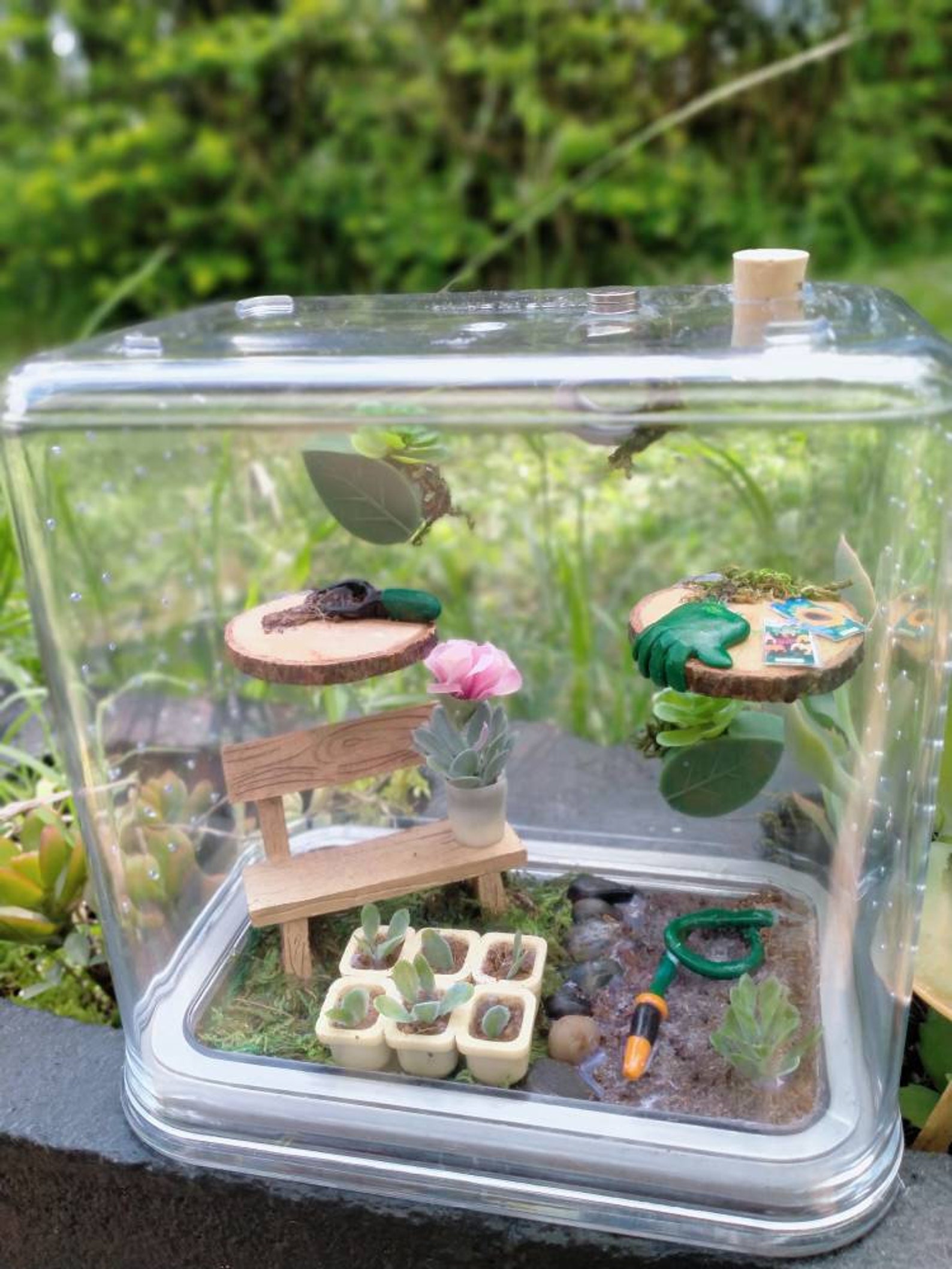 Jumping Spider Enclosures Stackable Enclosures Custom Made Etsy