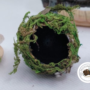 Mossy Bulb | Magnetic Jumping Spider Hide | Jumping Spider Enclosure | Jumping Spider Accessories