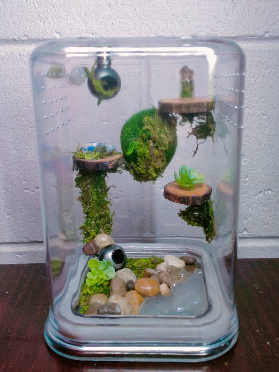 Jumping Spider Enclosures Stackable Enclosures Custom Made Etsy