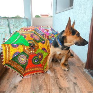 May include: A colorful, patterned parasol with a vibrant design in shades of green, orange, yellow, and red. A German Shepherd dog with black and tan fur sits nearby. The parasols are on a wooden surface.