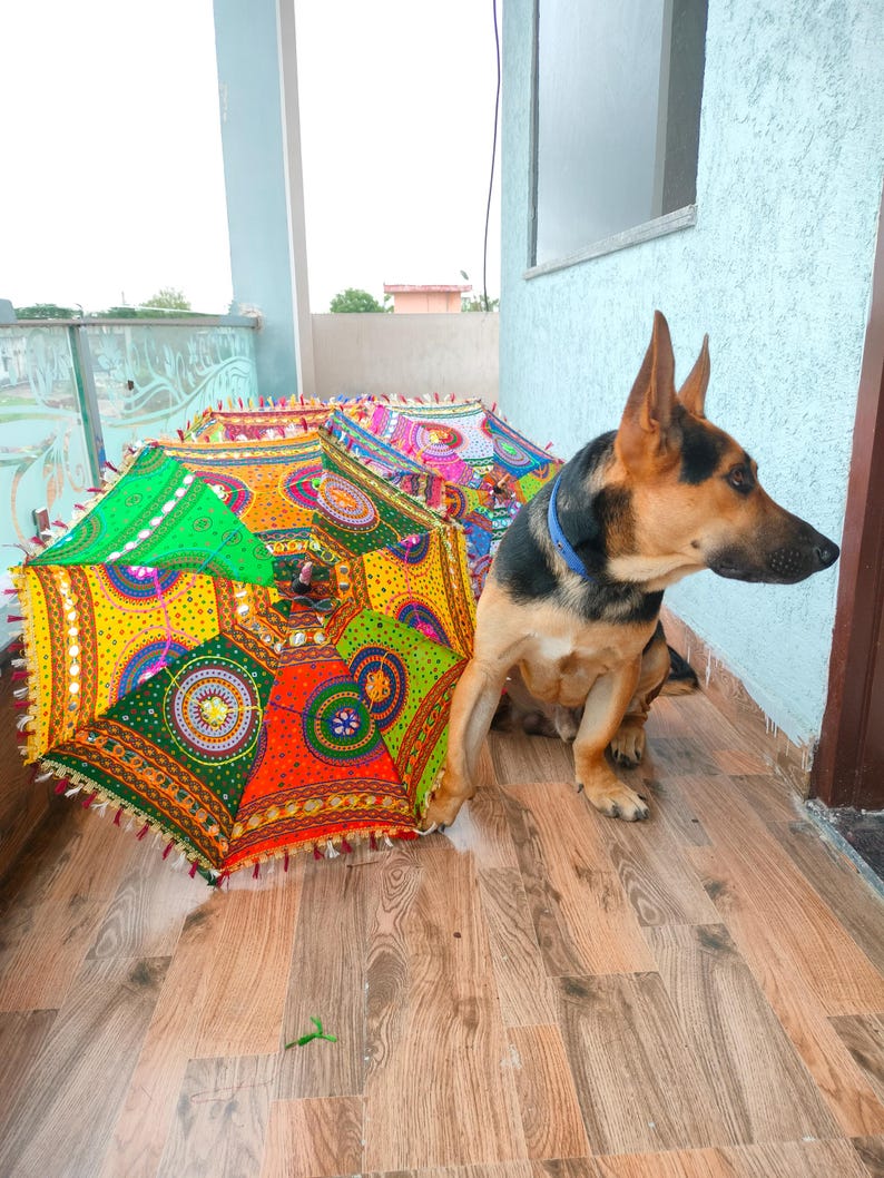 May include: A colorful, patterned parasol with a vibrant design in shades of green, orange, yellow, and red. A German Shepherd dog with black and tan fur sits nearby. The parasols are on a wooden surface.