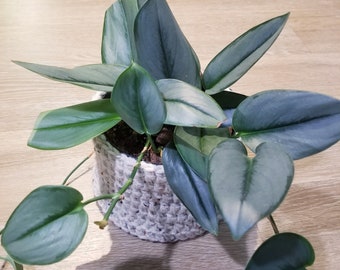 Crochet Plant Basket