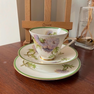 May include: A fine bone china teacup, saucer, and side plate set. The white porcelain is decorated with a thistle motif in purple and green, with gold detailing. The set includes a teacup, a saucer, and a side plate with a green border.