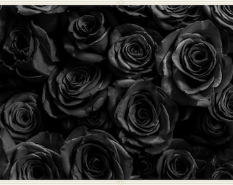Black Rose Seeds - Home Garden Flower Plant (20 Seeds)