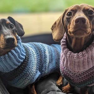 Miniature Dachshund Jumpers for Adult Dogs in many colours