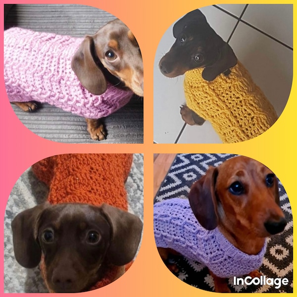 Puppy Jumpers for Miniature Dachshunds aged 3-6 months old