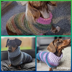 Miniature Dachshund Jumpers Variety of Colours Available