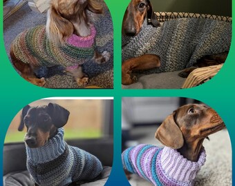 Miniature Dachshund Jumpers Variety of Colours Available