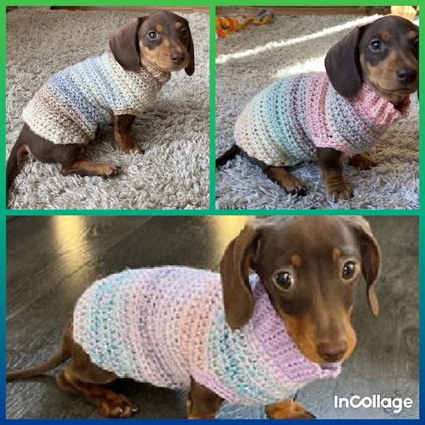 Puppy Jumpers for Miniature Dachshunds aged 10-14 weeks old