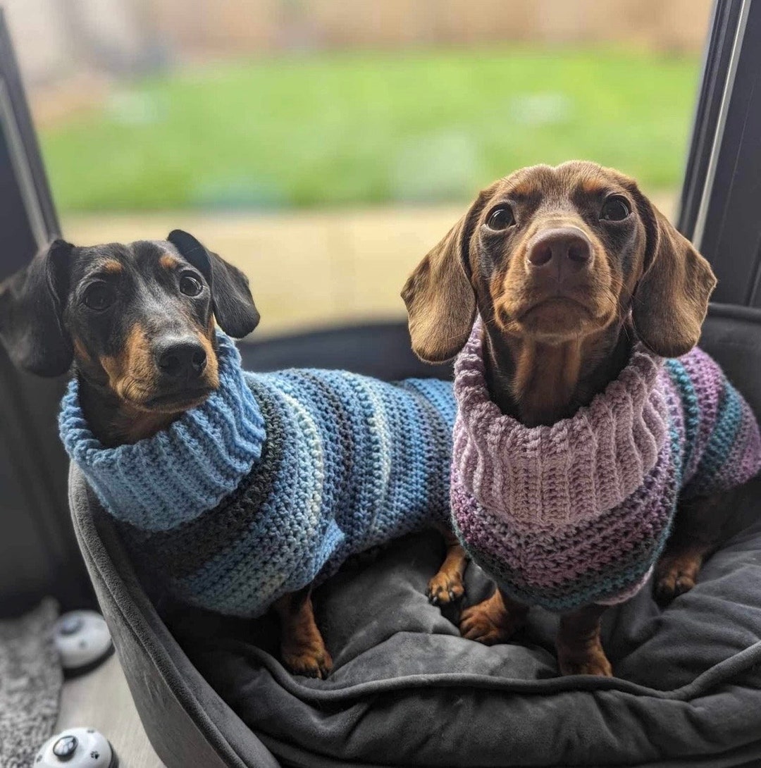Miniature Dachshund Jumpers Variety of Colours Available Etsy UK